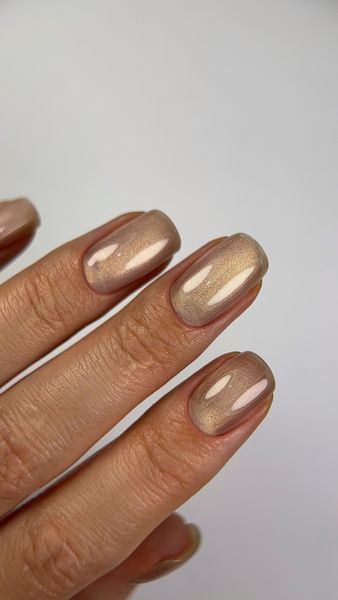Dark gel polish Night Cat 12, 10 ml DNCt12 фото