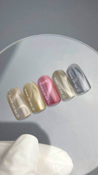 Гель-лак NAILSOFTHEDAY Korean cat eye 10, 10 мл 4826438000492 фото
