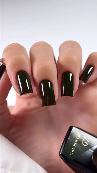 Гель лак Steffani Color Gel polish №67, 9 мл 2070362174 фото