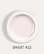 Гель Dark Smart Builder gel 22, 30 мл DarkSmart22 фото 1