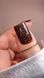 Гель-лак BIBLIOTEKA Flash Gel Polish № 06 Bronze &ndash; Темно-коричневий блиск, 10 мл BF06 фото 2
