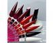 Гель лак Steffani Color Gel polish №54, 9 мл 2070362160 фото 3