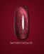 Гель-лак Dark gel polish Cat Eye 05, 10 мл DCE05 фото 1