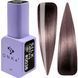 Гель-лак DNKa' Gel Polish Cat's Eye Silk #0038, 7 мл FTCGP0387 фото 1