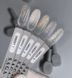 Гель-лак Saga Professional Cheeky Cat  02, 10мл SCC2 фото 3