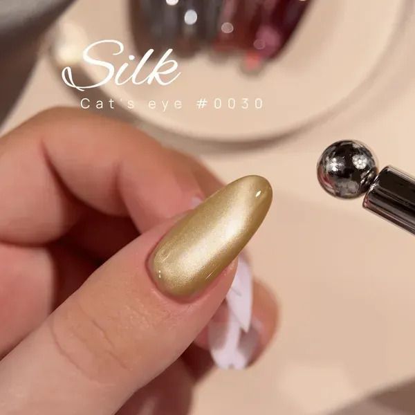 Гель-лак DNKa' Gel Polish Cat's Eye Silk #0030, 7 мл FTCGP030 фото