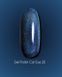 Гель-лак Dark gel polish Cat Eye 20, 6 мл DCE20 фото 1
